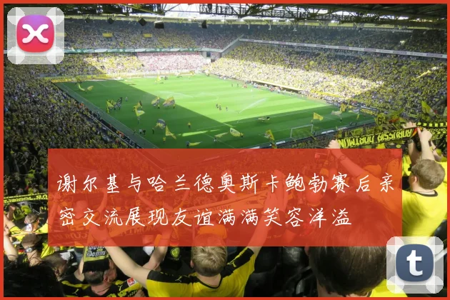 谢尔基与哈兰德奥斯卡鲍勃赛后亲密交流展现友谊满满笑容洋溢