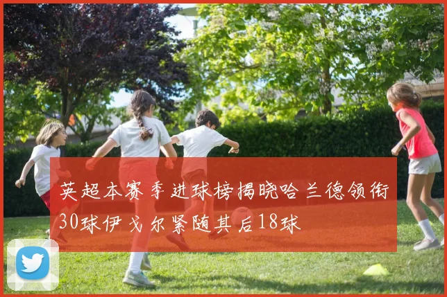 英超本赛季进球榜揭晓哈兰德领衔30球伊戈尔紧随其后18球